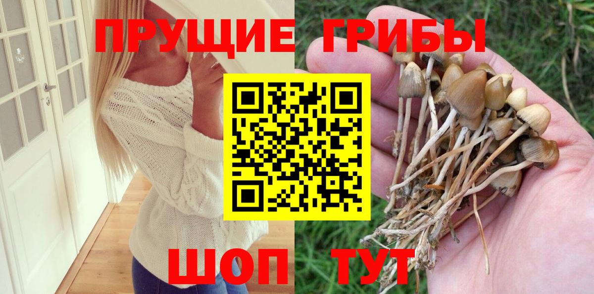 Псилоцибиновые грибы Magic Shrooms Уссурийск