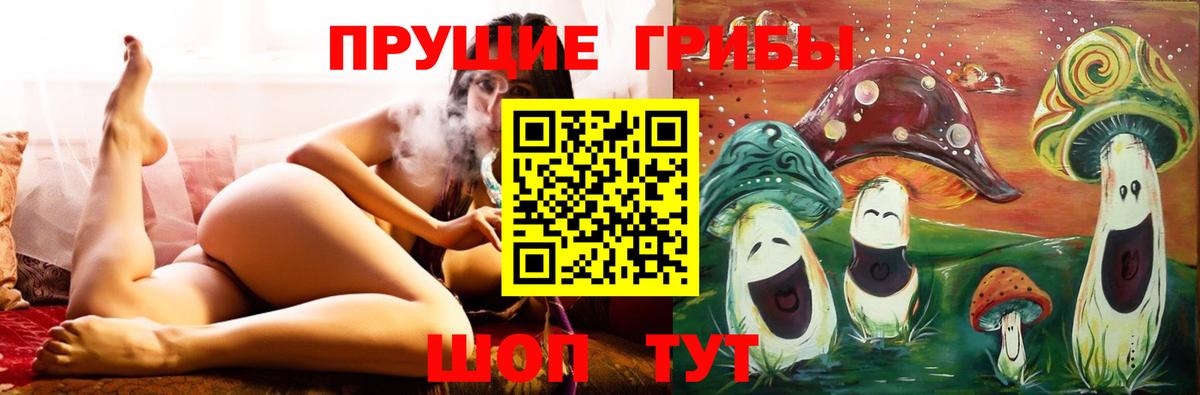 Галлюциногенные грибы прущие грибы  Вход с VPN  Уссурийск 